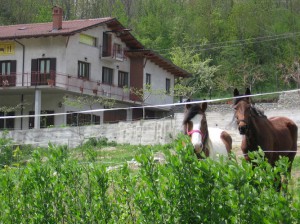 Azienda Agrituristica Il Portico di Pelazza Antonella