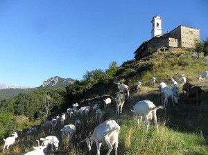 Agriturismo LO PUY - La Chabrochanto