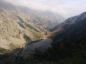 Bar Del Faggio