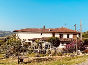 Agriturismo Tre colline in langa