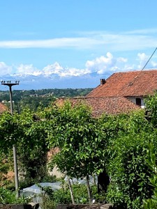 La Cascina Azienda Agricola Nicoletti