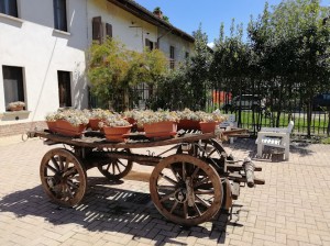 Agriturismo Cascina Monticone