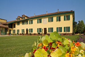 Tenuta la Violina