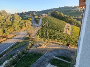 Cascina Malinverni Bed & Breakfast