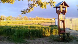 Agriturismo Mangià ad Campagna