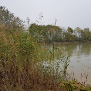 Agriturismo Cascina Allodola