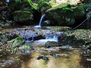 Cascate Vallone del Tuorno e Bosco Luceto