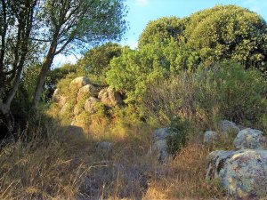 Nuraghe di San Lussorio e altri Nuraghi