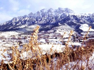 Trekking e Sentieri sul Monte Corrasi