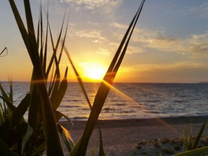 Spiaggia di Caprioli