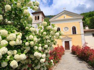 Santuario della Madonna di Capodacqua