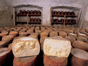 Museo del Fiore Sardo 