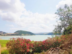 Lago del Liscione