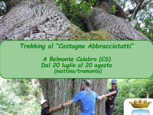 Trekking al 'Castagno abbracciatutti'