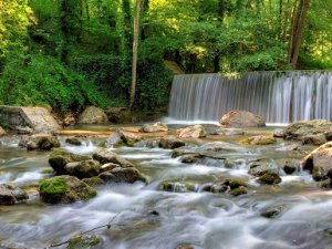 Torrente Peschiera nel Bosco Magnano