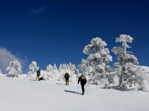 Monte Pollino (escursioni, ciaspolate)