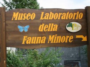 Museo Laboratorio della Fauna Minore