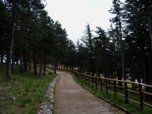 Percorso Ciclabile Pineta San Francesco