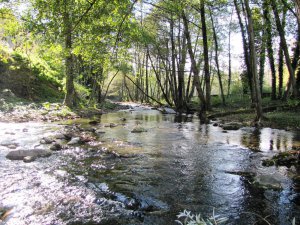 Parco Fluviale 'Baden Powell'