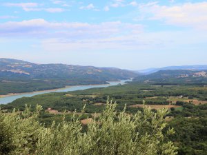 Bosco Maglie e Lago di Pietra del Pertusillo