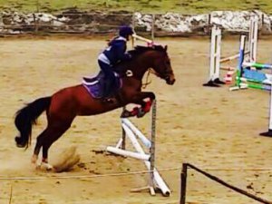 Horse & Pony club Pratorondanino