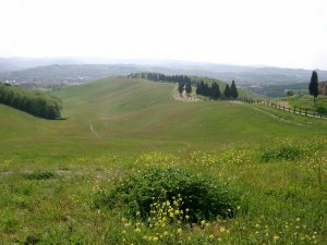 Parco Collinare di Canonica