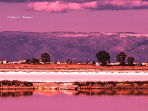 Riserva naturale delle Saline