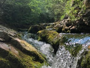 Bagno nelle Gorghe Naturali