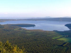 Riserva Naturale Lago di Vico 