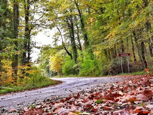 Bosco di Monte Lupone e Chiesetta rurale di S. Nicola