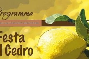 Festa del Cedro