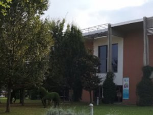 Rassegna Teatrale Calderone