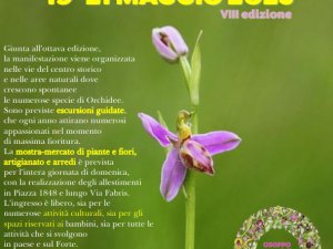 Festa delle Orchidee