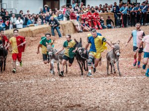 Il Palio degli Asini