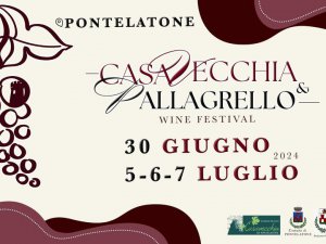 Casavecchia & Pallagrello Wine Festival