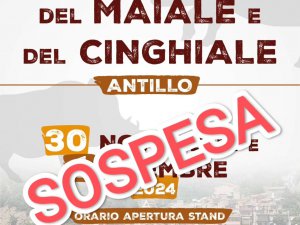 Imperdibile Sagra del Maiale e del Cinghiale 2024 ad Antillo: Sapori, Tradizione e Spettacolo