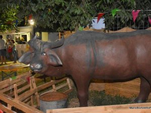 Festa della Bontà di Bufala 