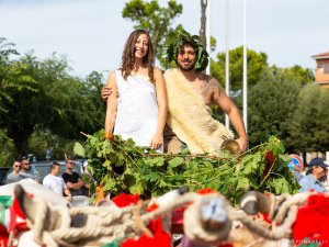  43° Sagra dell'Uva - Tradizione, Cultura e Spettacolo Allegorico