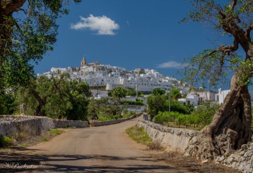 Ostuni (BR)