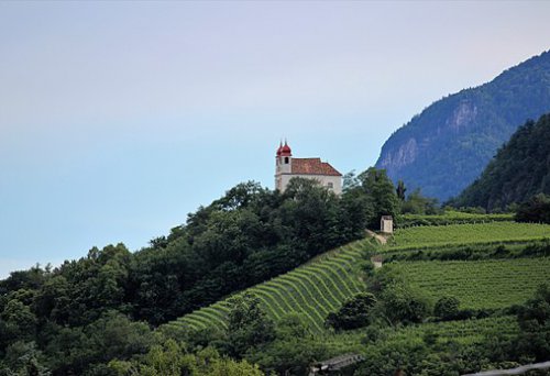 Appiano sulla strada del vino (BZ)