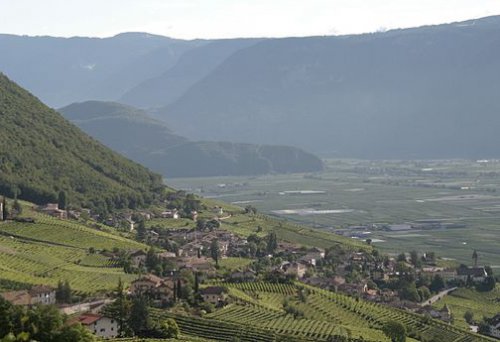 Cortaccia sulla strada del vino (BZ)