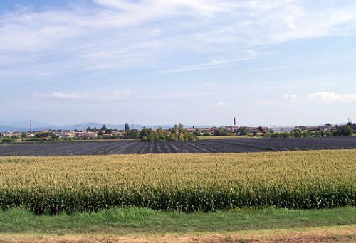 Albaredo d'Adige (VR)